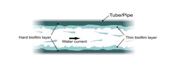 The image is a cross-sectional diagram of a tube showing biofilm layers: a hard biofilm layer on the inner surface and a thin biofilm layer on top, with water current flowing through the center.