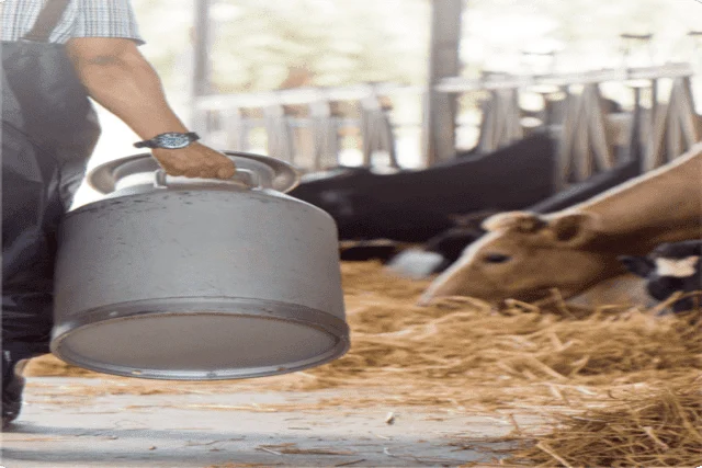 Chlorine Dioxide treatment in dairy livestock