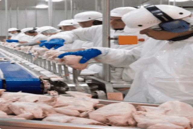 Chlorine dioxide treatment in a poultry processing plant for food safety