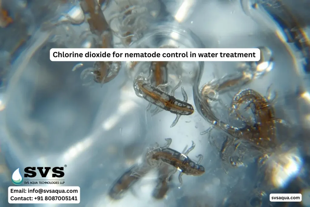 Chlorine dioxide disinfection for nematodes control in water treatment